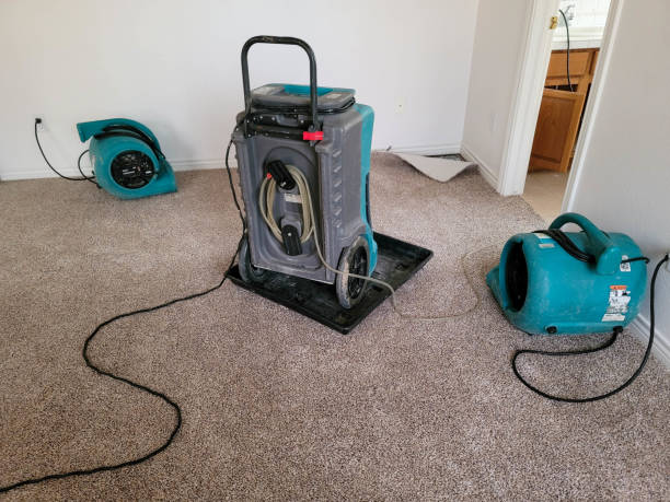 Best Flood restoration services  in League City, TX