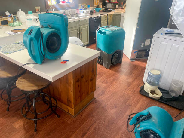  League City, TX Water damage restoration Pros