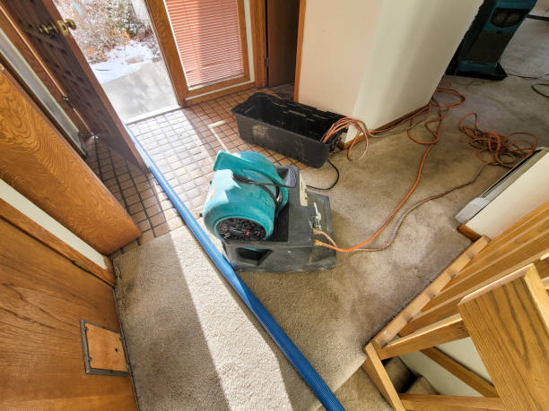 Best Water damage restoration mold remediation  in League City, TX