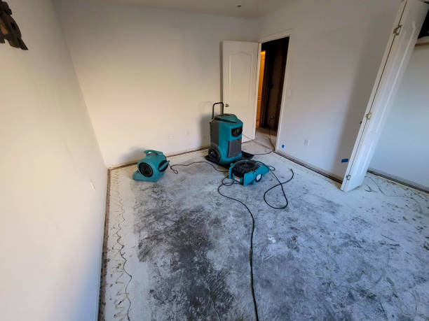 Best 24/7 water damage repair  in League City, TX