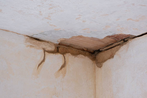 Best Fire Damage Restoration  in League City, TX