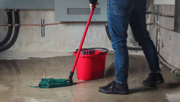 Best 24/7 water damage repair  in League City, TX
