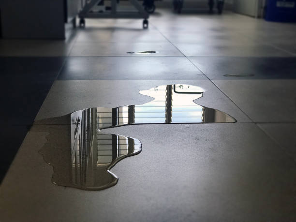 Best Water damage restoration near me  in League City, TX