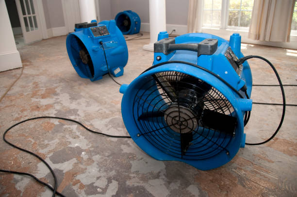 Best Residential water damage restoration  in League City, TX