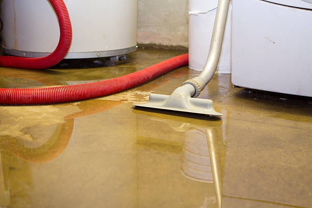 Best Water damage restoration near me  in League City, TX