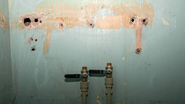 Trusted League City, TX Water damage restoration Experts