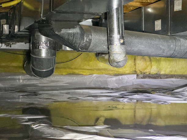 Best Sewage cleanup and water damage restoration  in League City, TX