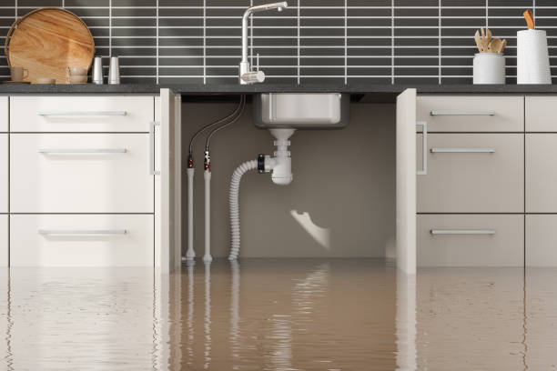 Best Local water damage restoration  in League City, TX