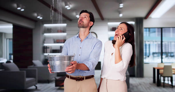 Best Water damage cleanup near me  in League City, TX